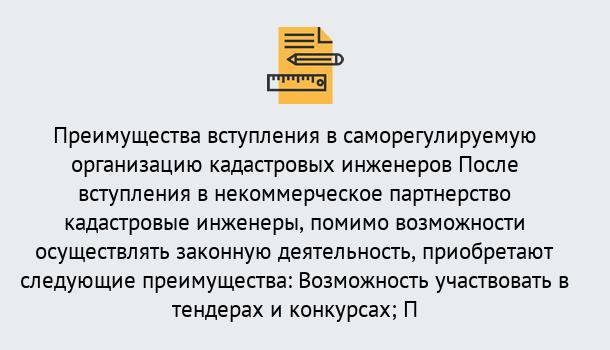 Почему нужно обратиться к нам? Курчатов Что дает допуск СРО кадастровых инженеров?