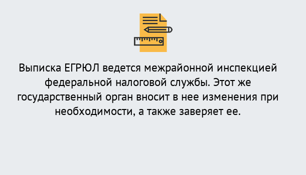 Почему нужно обратиться к нам? Курчатов Выписка ЕГРЮЛ в Курчатов ?