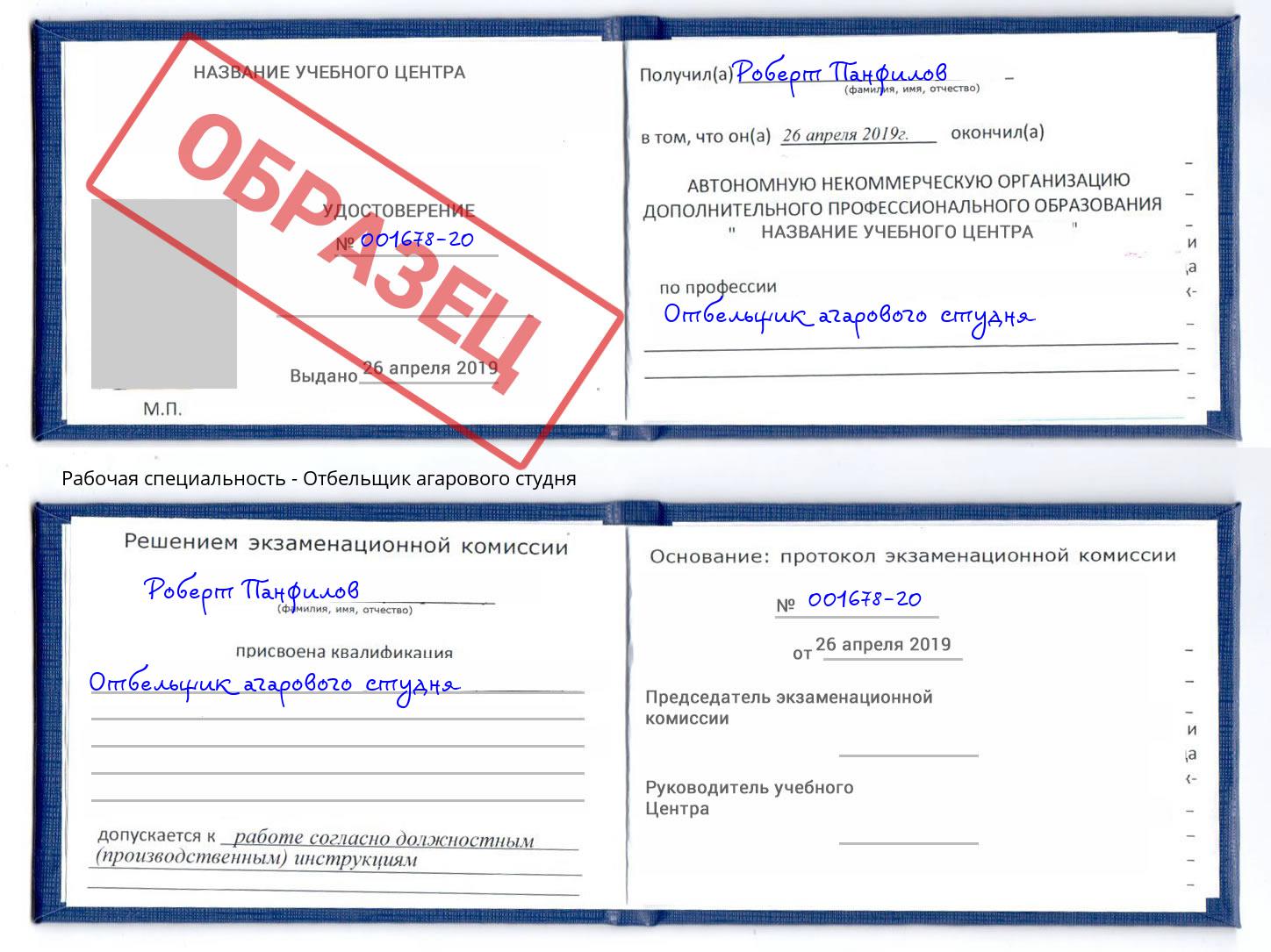 Отбельщик агарового студня Курчатов