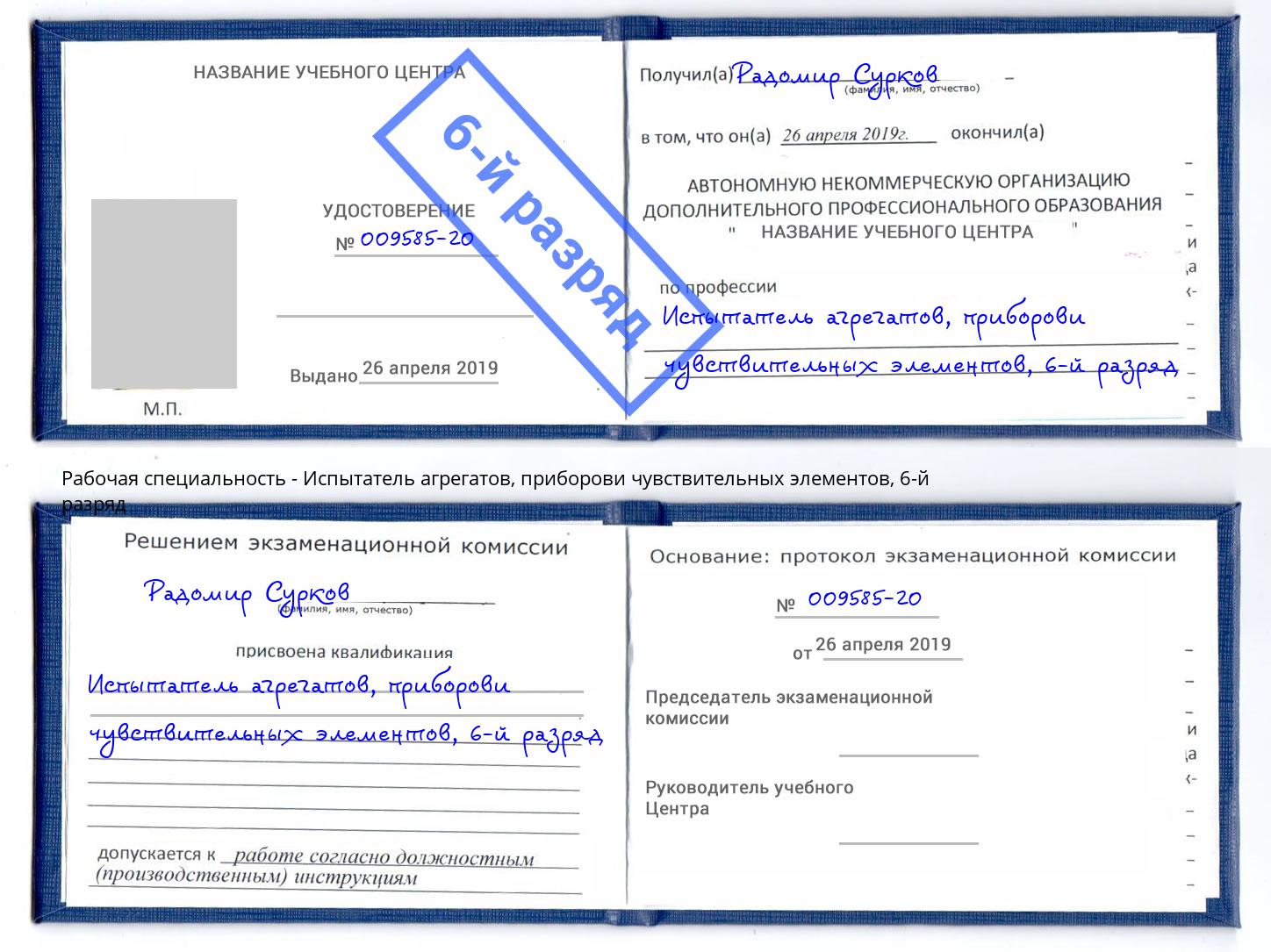 корочка 6-й разряд Испытатель агрегатов, приборови чувствительных элементов Курчатов