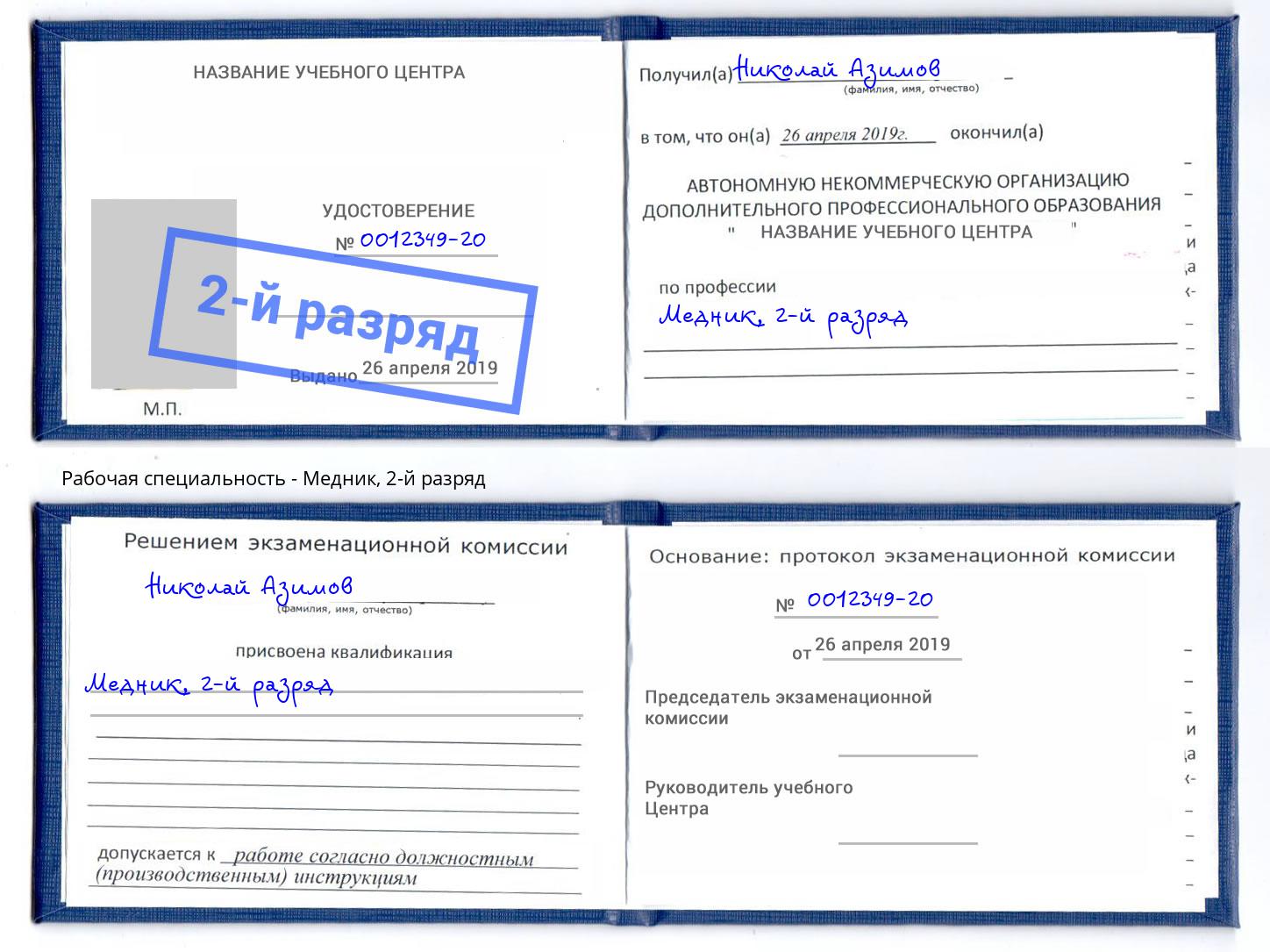 корочка 2-й разряд Медник Курчатов