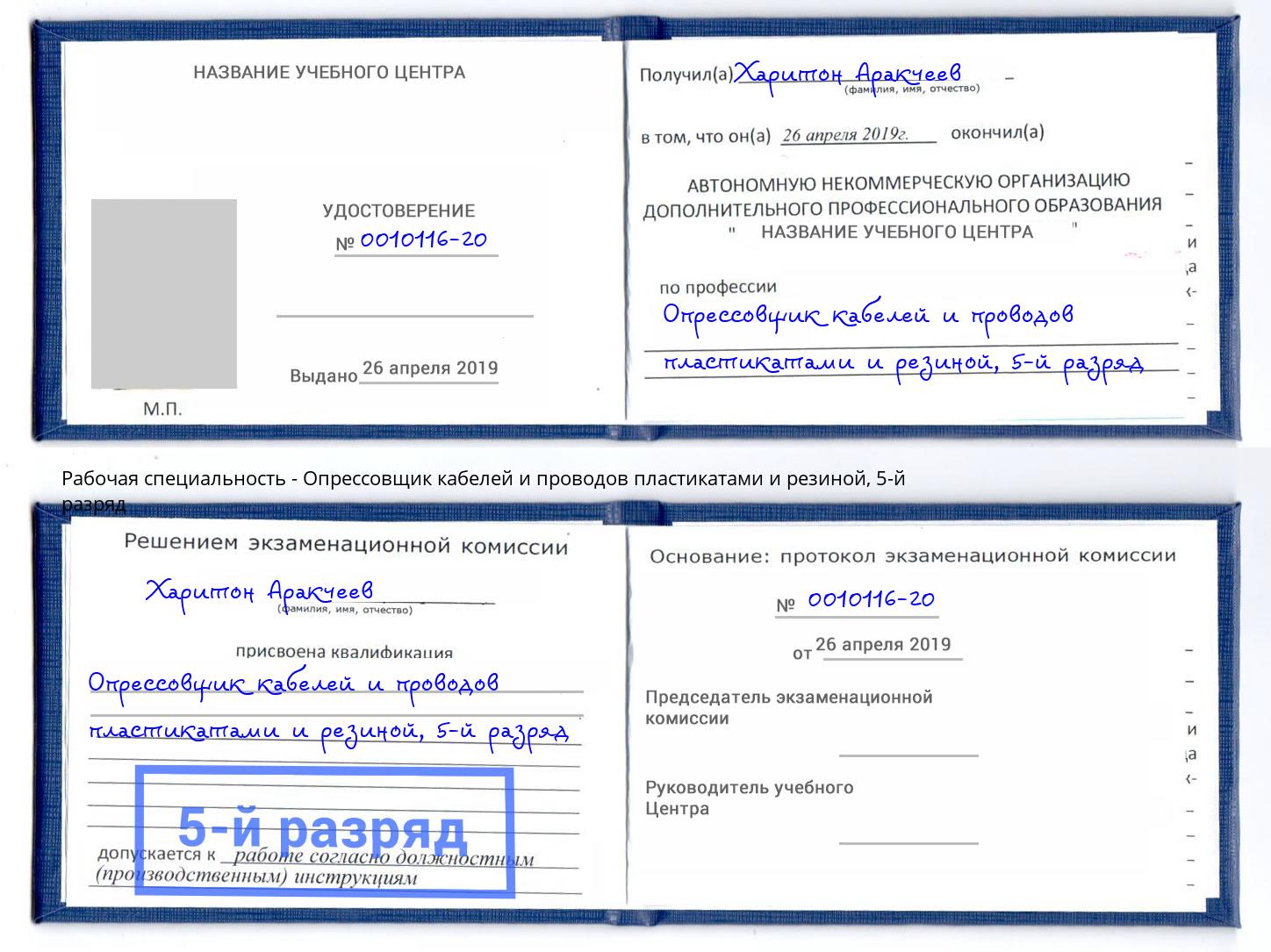 корочка 5-й разряд Опрессовщик кабелей и проводов пластикатами и резиной Курчатов