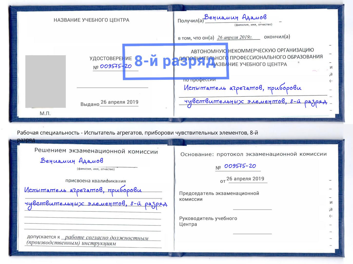 корочка 8-й разряд Испытатель агрегатов, приборови чувствительных элементов Курчатов